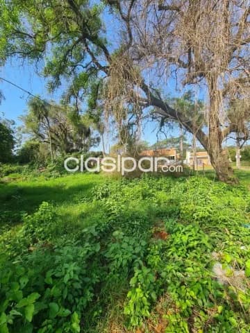 Terreno ubicado sobre avenida principal en San Lorenzo, zona palacio de justicia — foto 2