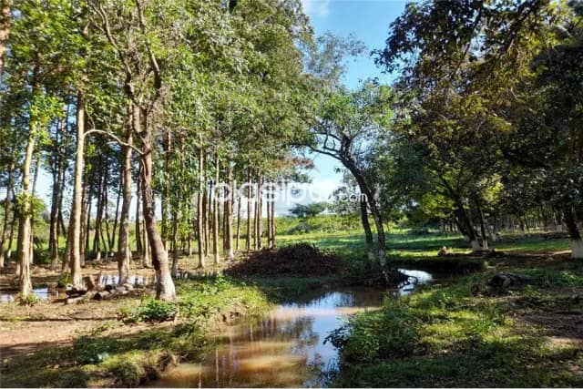 Terreno en yataity del norte — foto 3