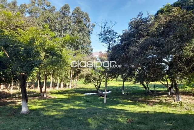 Terreno en yataity del norte — foto 4