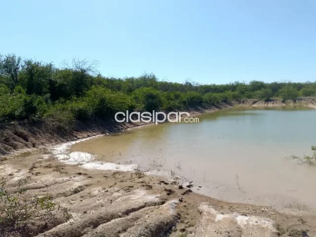 Tte. Esteban Martínez. Chaco. Pte. Hayes. Ruta XII. 185 ha., orientado a Ganadería. Vdo/Fi, foto 3