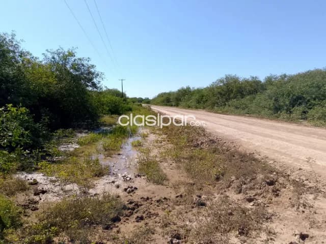 Tte. Esteban Martínez. Chaco. Pte. Hayes. Ruta XII. 185 ha., orientado a Ganadería. Vdo/Fi, foto 4