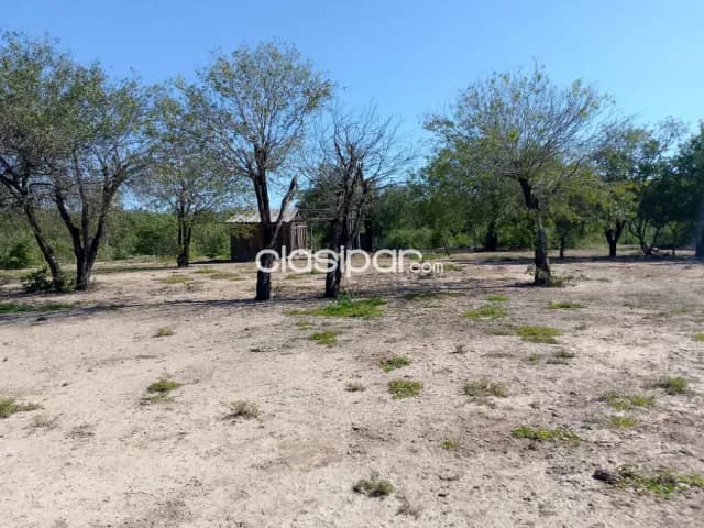 Tte. Esteban Martínez. Chaco. Pte. Hayes. Ruta XII. 185 ha., orientado a Ganadería. Vdo/Fi, foto 5