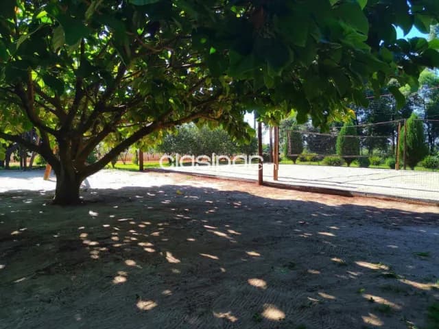 Granja de 15.000 m2 vendo en km 10 monday Ciudad del Este !!, foto 3