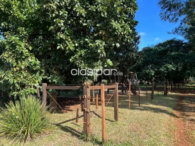 Granja de 15.000 m2 vendo en km 10 monday Ciudad del Este !!, foto 4