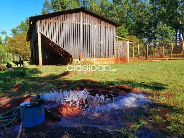 Granja de 15.000 m2 vendo en km 10 monday Ciudad del Este !!, foto 5