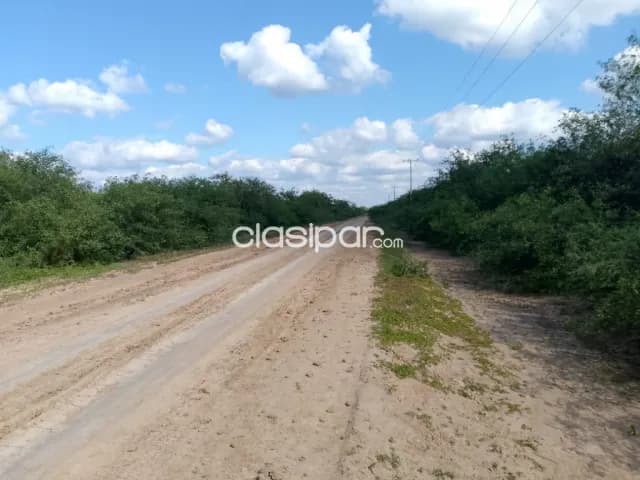 185 hectáreas Chaco Paraguayo 🇵🇾., orientado a Ganadería. Vdo/Cdo/óFinan/C/Entrega. Con, foto 3