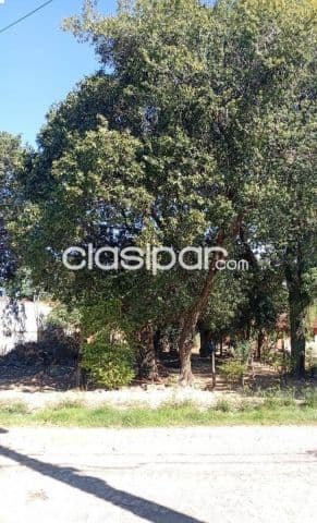 Terreno en Mariano Roque Alonso, foto 1