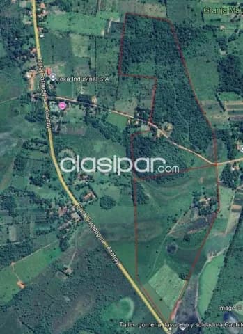 En venta 52 hectáreas sobre ruta en Ybycui, foto 3