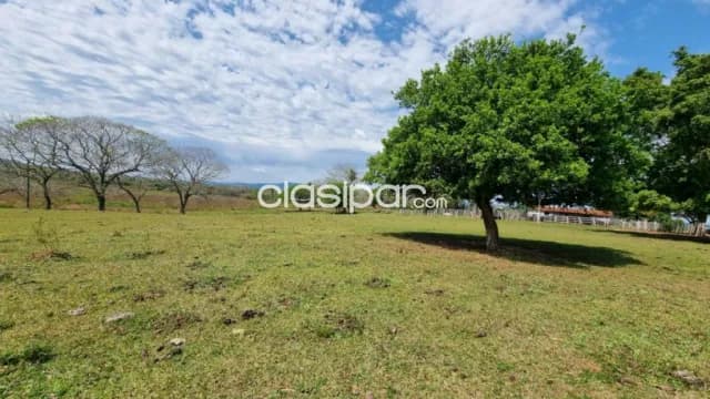 Maravillosa Granja en La Colmena de 63 has - Dividida en 4 fincas — foto 5