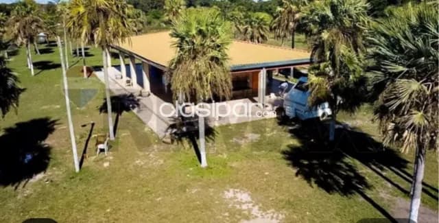 40 hectáreas en benjamin aceval zona rio confuso a 11 km del centro de la cdad, foto 4