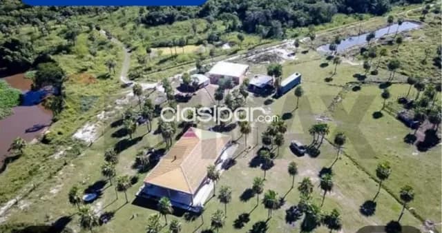 40 hectáreas en benjamin aceval zona rio confuso a 11 km del centro de la cdad, foto 5