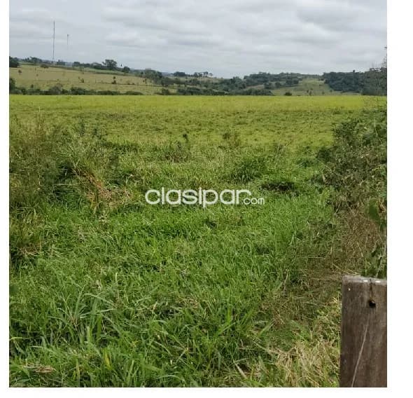 Paraguari - hemrosa granja de 78 hectareas - un paraiso, foto 2