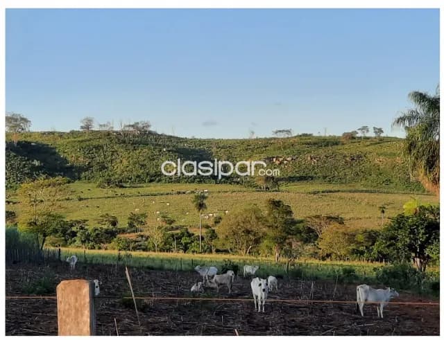 Paraguari - hemrosa granja de 78 hectareas - un paraiso, foto 3