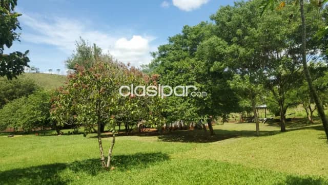 Paraguari - hemrosa granja de 78 hectareas - un paraiso, foto 5
