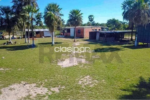 40 hectareas en benjamin aceval — foto 1
