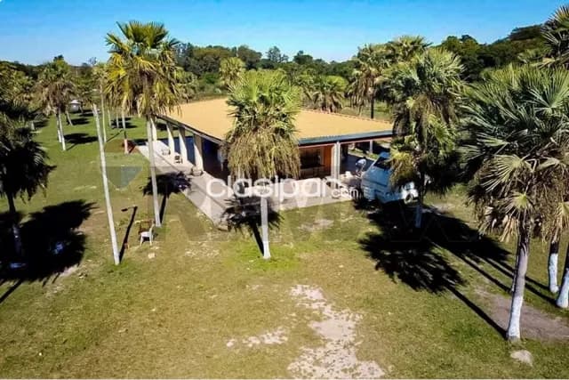 40 hectareas en benjamin aceval — foto 5