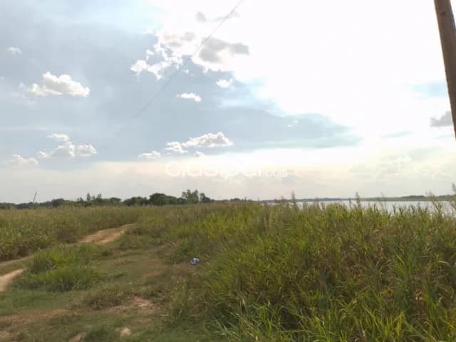 Buey rodeo, villeta, remato!! 183 has s/ rio paraguay, oportunidad única! 700.000 usd, foto 4