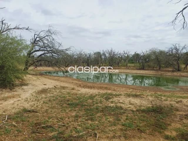 Campo agricola en venta 74 Hect, foto 3