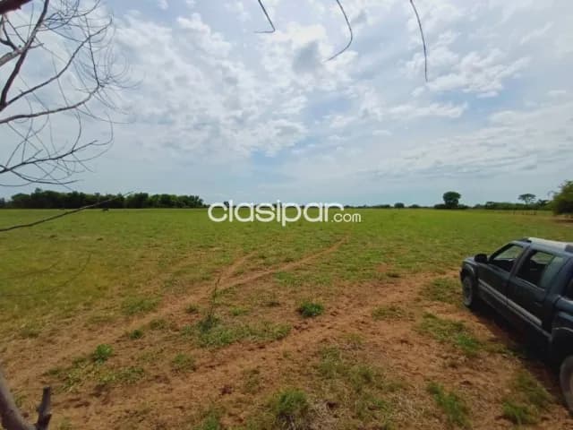 Campo agricola en venta 74 Hect, foto 4