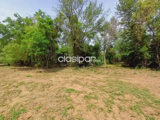 Campo agricola en venta 74 Hect, foto 5
