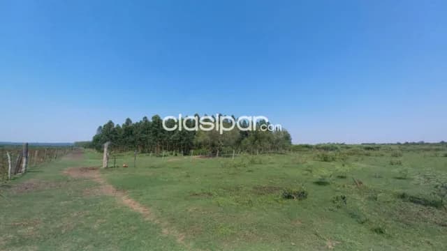 granja en zona Isla Valle-Areguá. 18 hect, foto 4