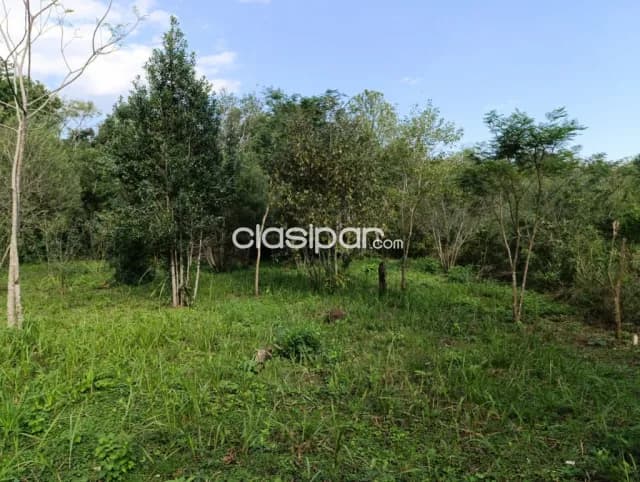 Lote de 512 m2 en san juan del paraná, foto 4