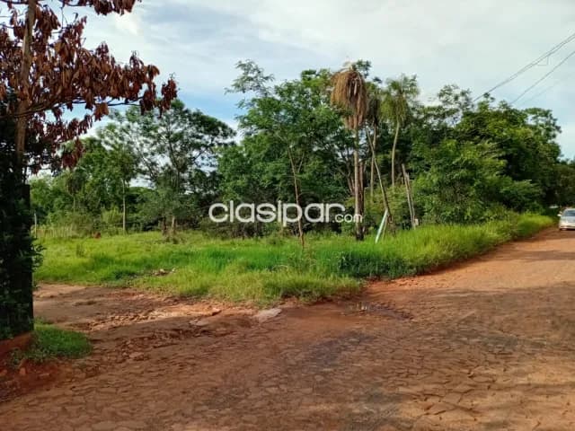 6 terrenos de 12 X 30 cada uno, zona comercial a 2 cuadras del paseo guarani, foto 3