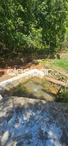 Casa quinta amoblada en altos, foto 3