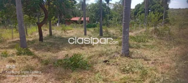 En venta terreno en nueva colombia id 41409 — foto 3