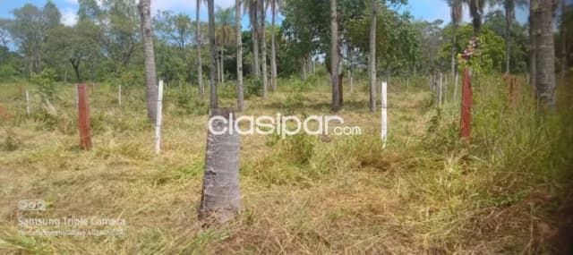 En venta terreno en nueva colombia id 41409 — foto 5