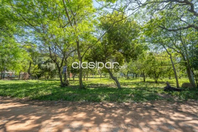 Amplio terreno en limpio - Luque, foto 5