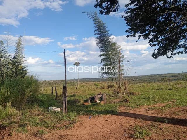 750 has. Yby Pyta – Canindeyu, foto 2
