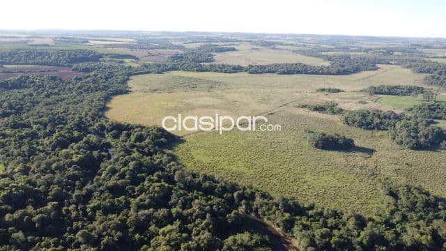 Oferta campo de 57 hectáreas zona urusapukai distrito de Encarnación
