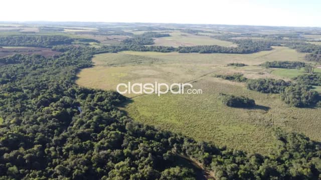 Oferta campo de 57 hectáreas zona urusapukai distrito de Encarnación — foto 2