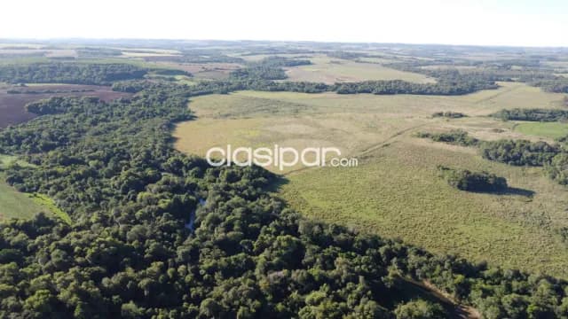 Oferta campo de 57 hectáreas zona urusapukai distrito de Encarnación — foto 3