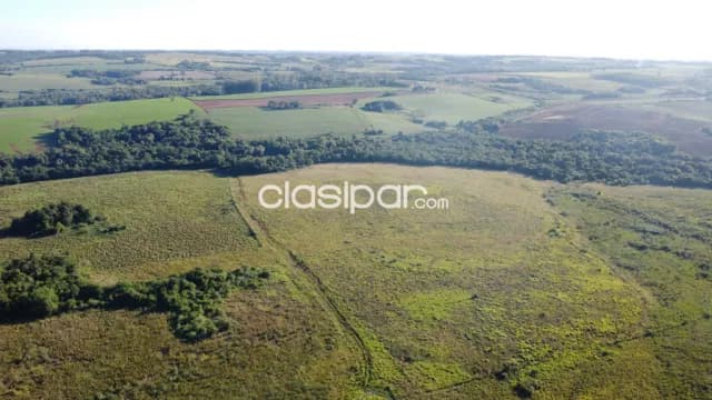 Oferta campo de 57 hectáreas zona urusapukai distrito de Encarnación — foto 4