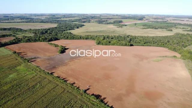 Oferta campo de 57 hectáreas zona urusapukai distrito de Encarnación — foto 5