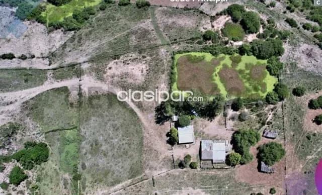 de Estancia/Ganadera en Villa Hayes, Presidente Hayes, foto 2