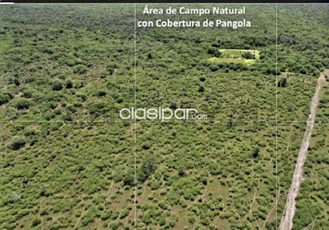 de Estancia/Ganadera en Villa Hayes, Presidente Hayes, foto 3