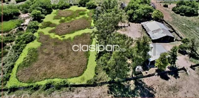 de Estancia/Ganadera en Villa Hayes, Presidente Hayes, foto 5