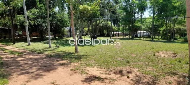 En venta – estancia de 23 hectáreas en carapegua (paraguarí) — foto 4