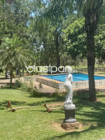Agroganadera en acahay, foto 5