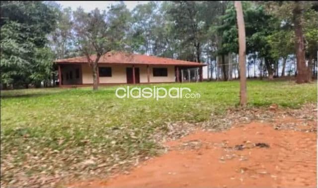 Pto. Adela, canindeyú, lago itaipu: 550 has, tierra colorada, revesera forestal mecanizada, foto 1