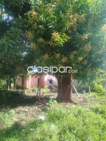 En venta terreno en barrio lucerito San Lorenzo id 38609, foto 3