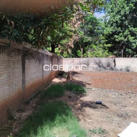 En venta terreno en laurelty San Lorenzo id 36903 — foto 3