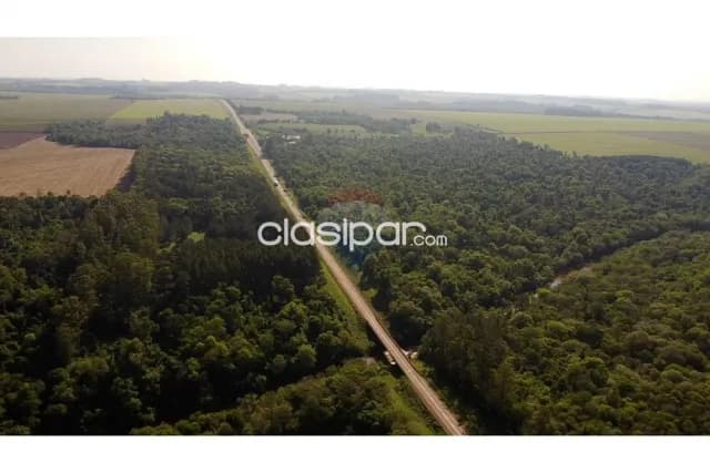 Finca agricola en pirapo — foto 4
