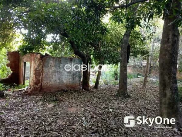 Terreno en lambare (18 X 23) frente mismo al super stock!!, foto 2