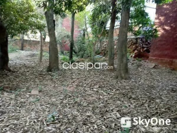 Terreno en lambare (18 X 23) frente mismo al super stock!!, foto 4