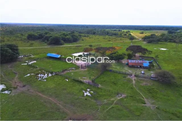 483 hectareas en villa franca -ñeembucu — foto 2