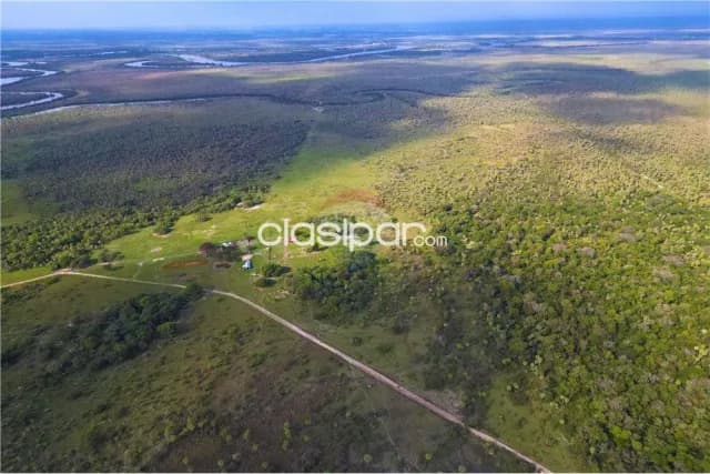 483 hectareas en villa franca -ñeembucu — foto 5